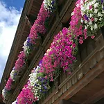 Hotel Alpenhotel Tirolerhof Neustift im Stubaital