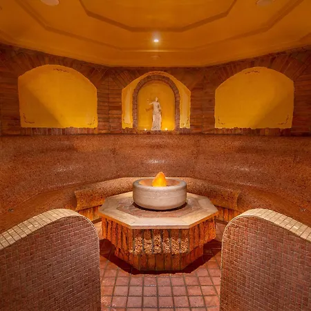 Alpenhotel Tirolerhof فندق