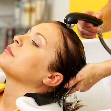 ホテル アルペンホテル チロラーホフ