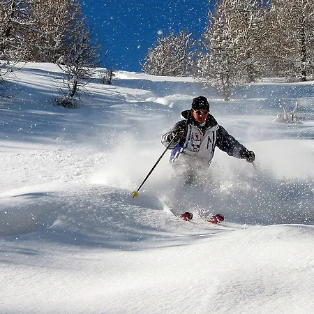 アルペンホテル チロラーホフ ホテル