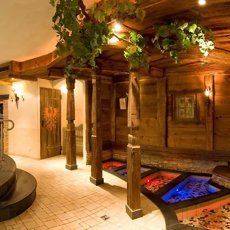 Alpenhotel Tirolerhof מלון 4*