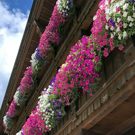 Hotell Alpenhotel Tirolerhof Neustift im Stubaital